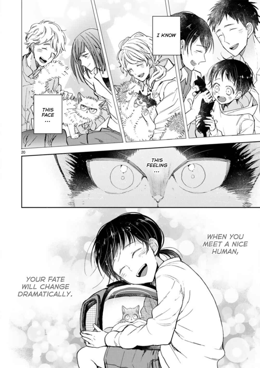 Page 20 Chapter 19.3 My Roommate Is a Cat