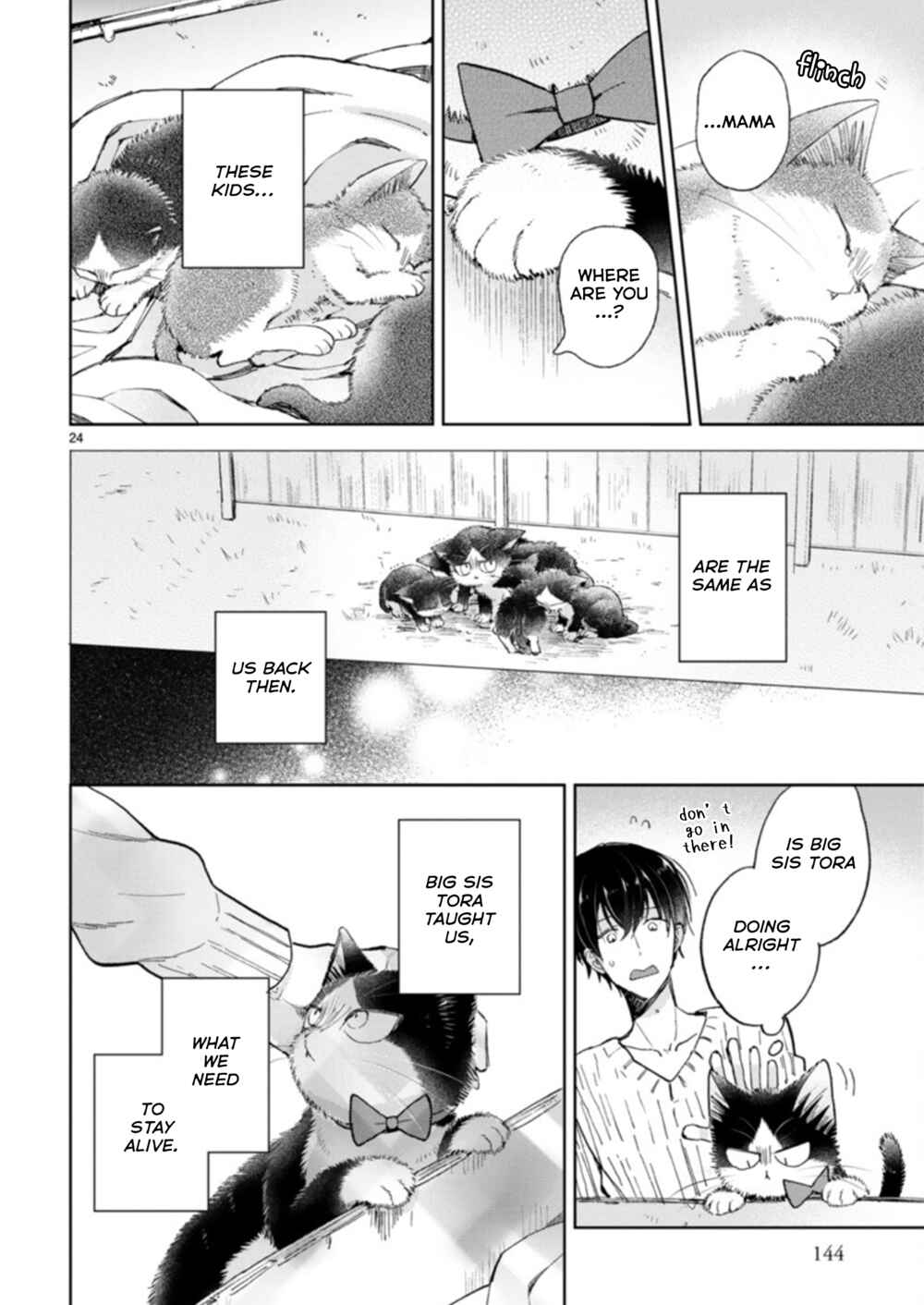 Page 24 Chapter 19.3 My Roommate Is a Cat