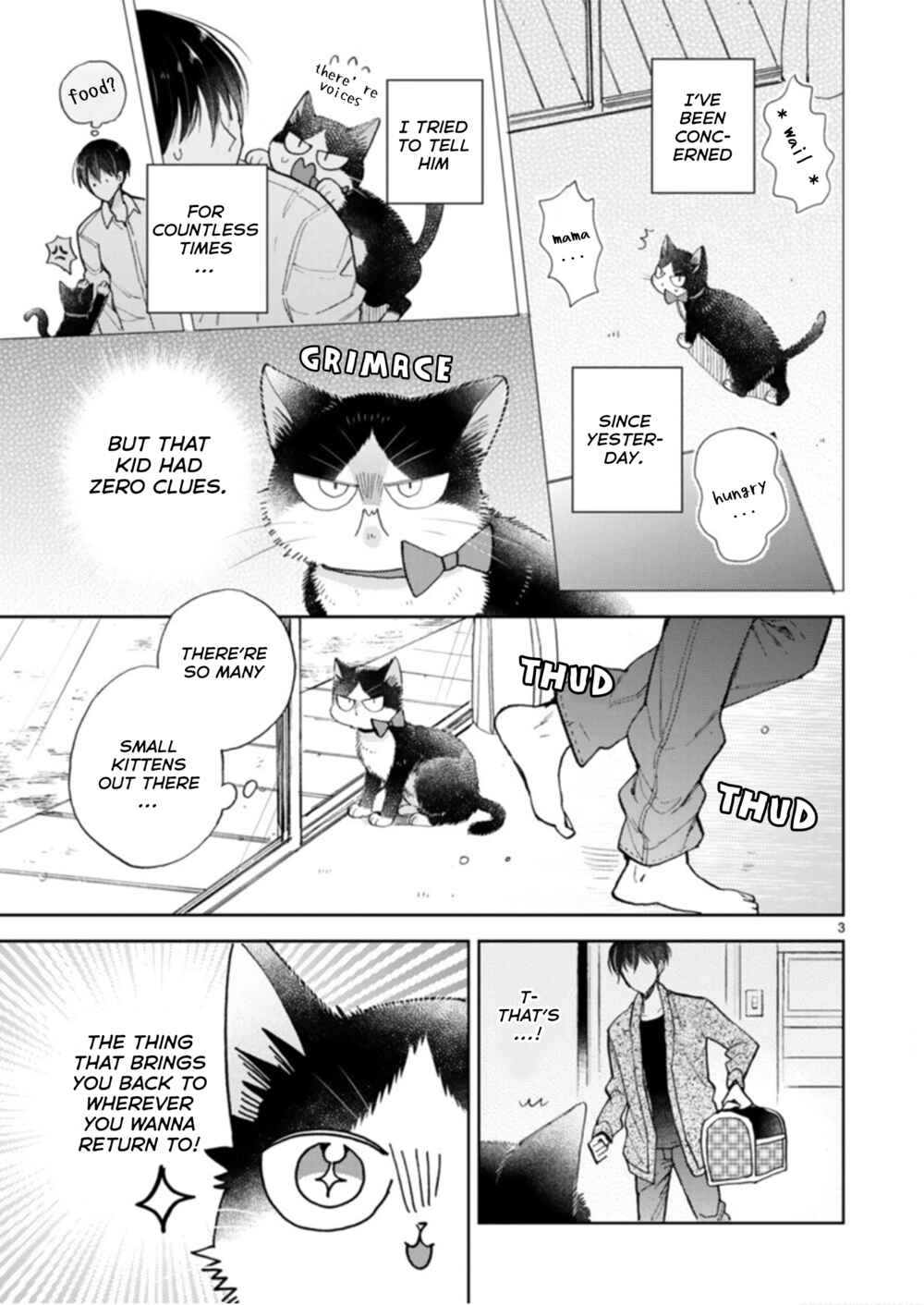 Page 3 Chapter 19.3 My Roommate Is a Cat