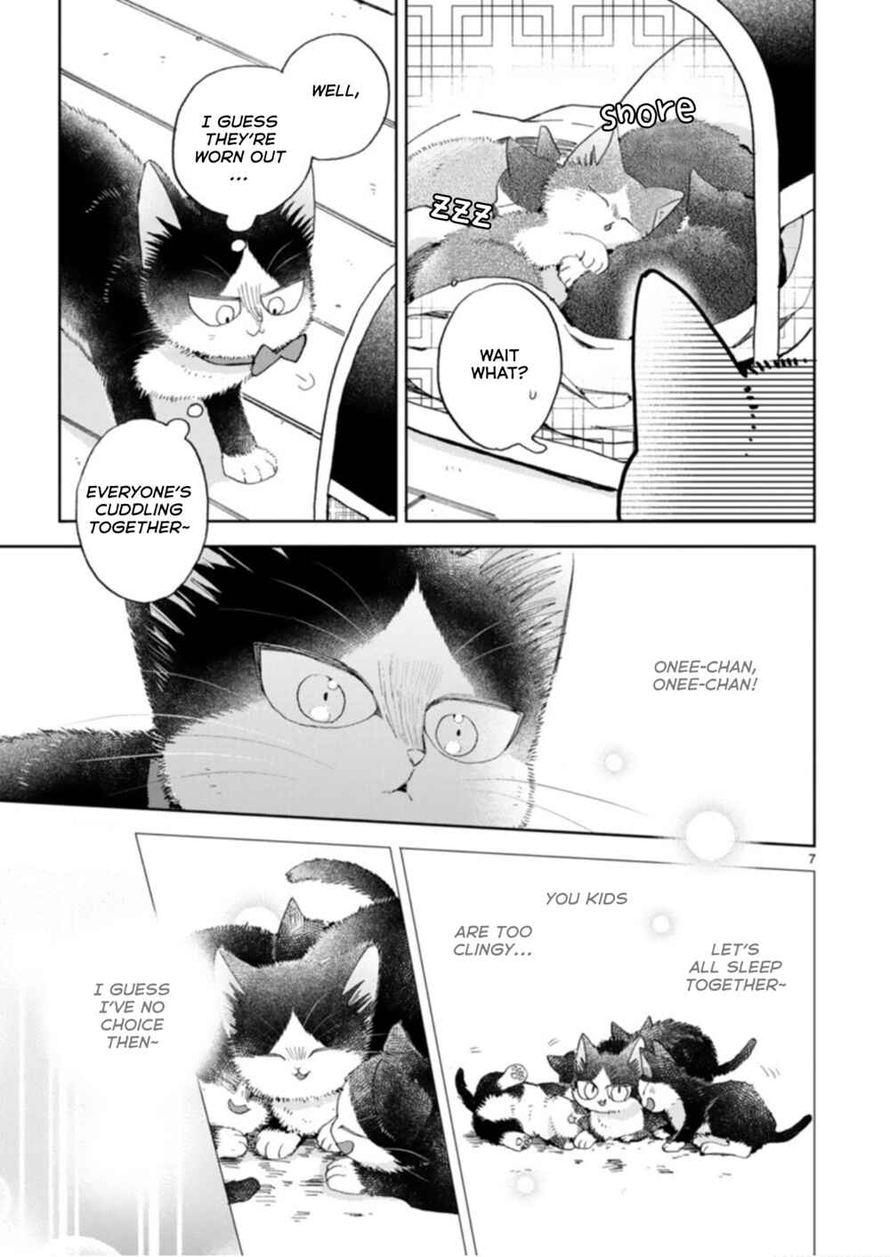 Page 7 Chapter 19.3 My Roommate Is a Cat