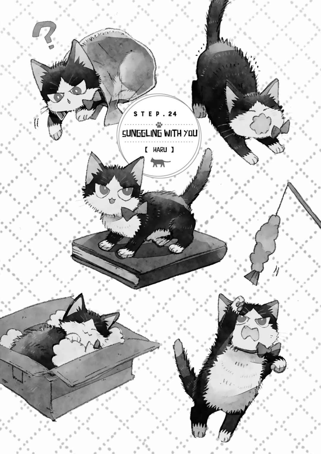 Page 1 Chapter 24.2 My Roommate Is a Cat