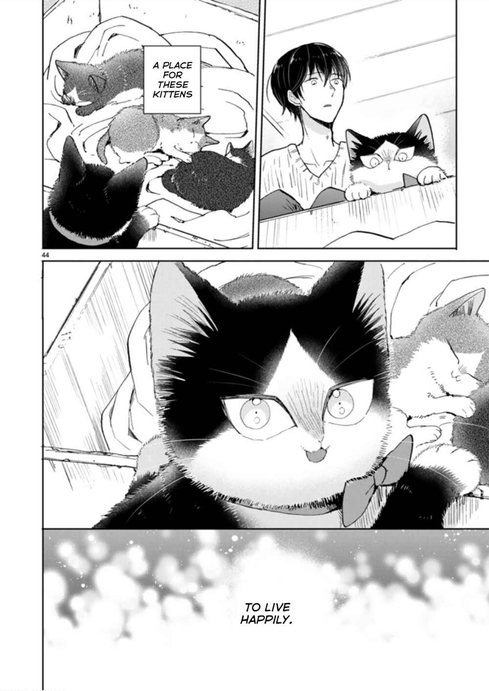 Page 20 Chapter 19.2 My Roommate Is a Cat