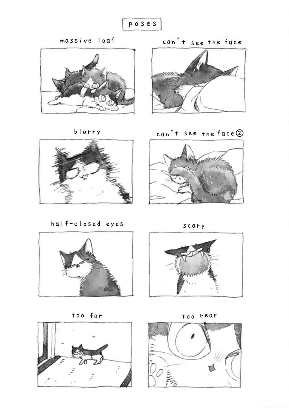 Page 23 Chapter 19.2 My Roommate Is a Cat