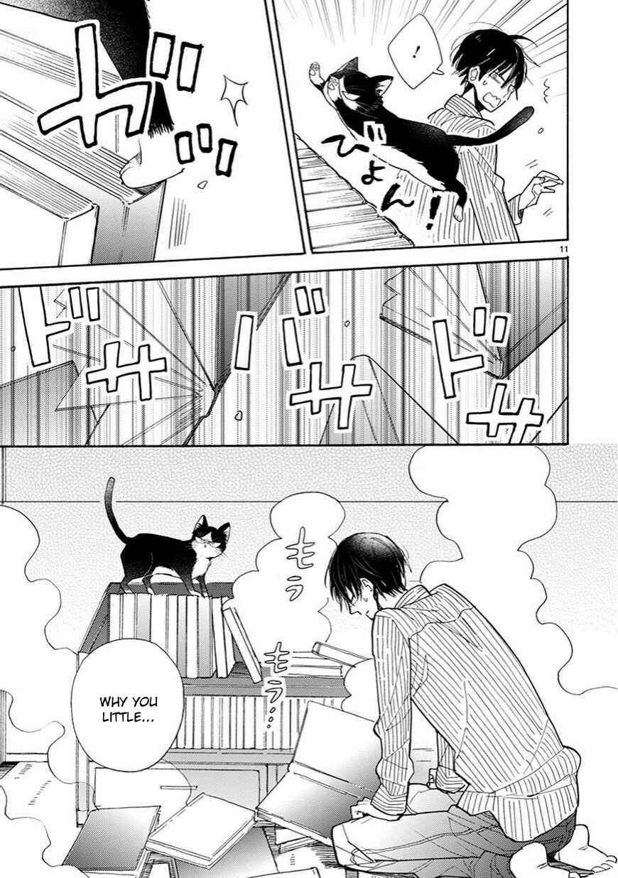 Page 12 Chapter 4 My Roommate Is a Cat