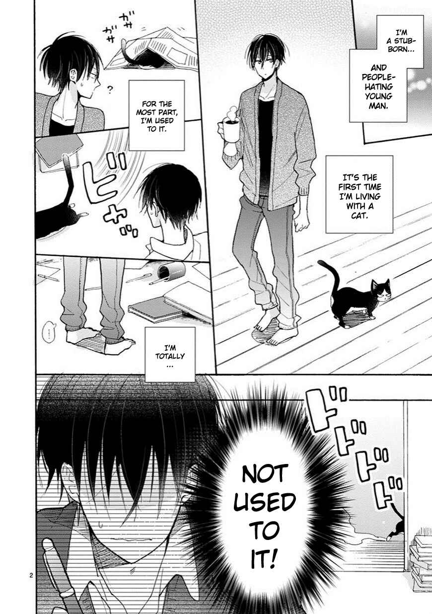 Page 3 Chapter 4 My Roommate Is a Cat