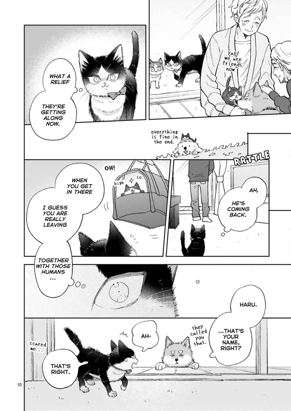 Page 12 Chapter 21.4 My Roommate Is a Cat