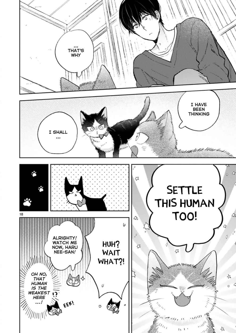 Page 20 Chapter 21.4 My Roommate Is a Cat