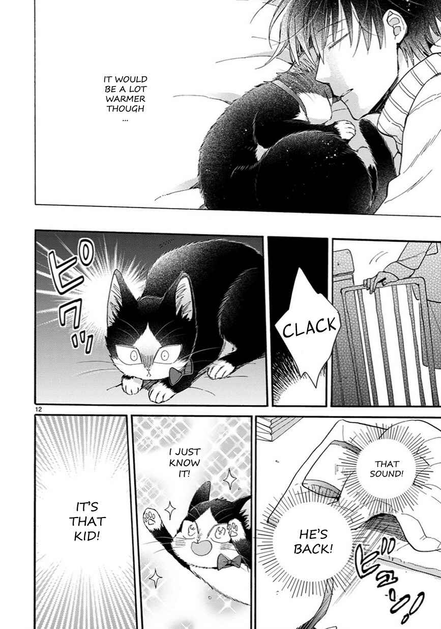 Page 13 Chapter 12 My Roommate Is a Cat