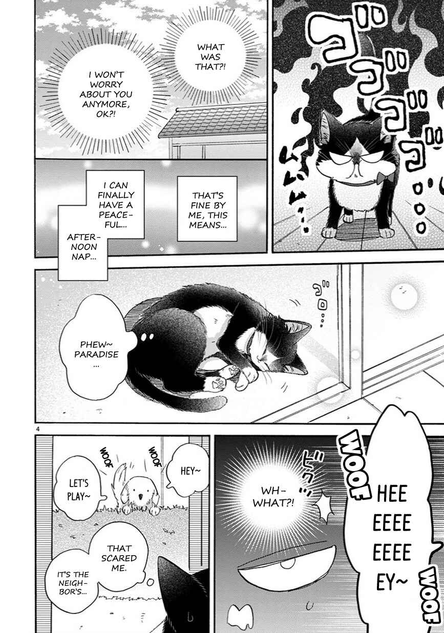 Page 5 Chapter 12 My Roommate Is a Cat