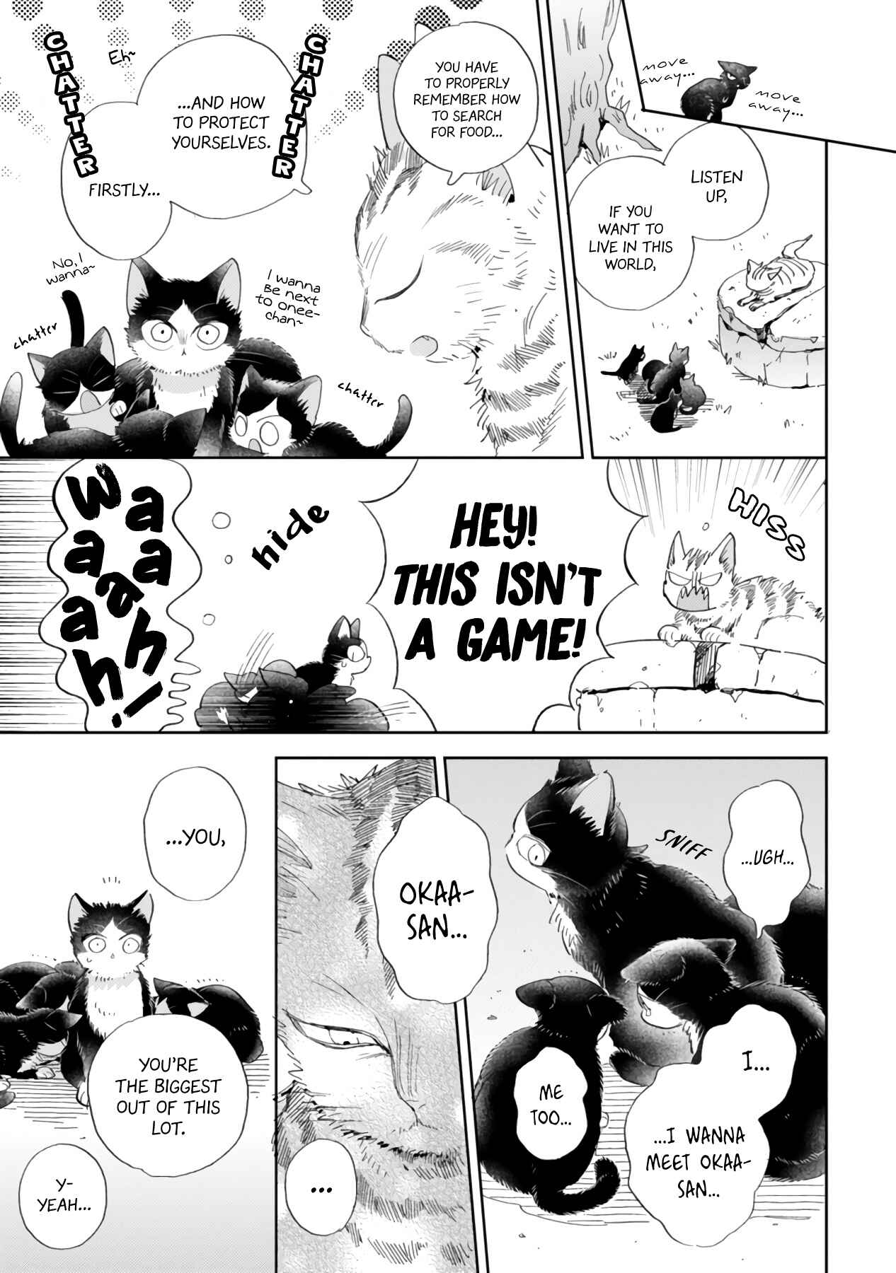Page 13 Chapter 16.2 My Roommate Is a Cat