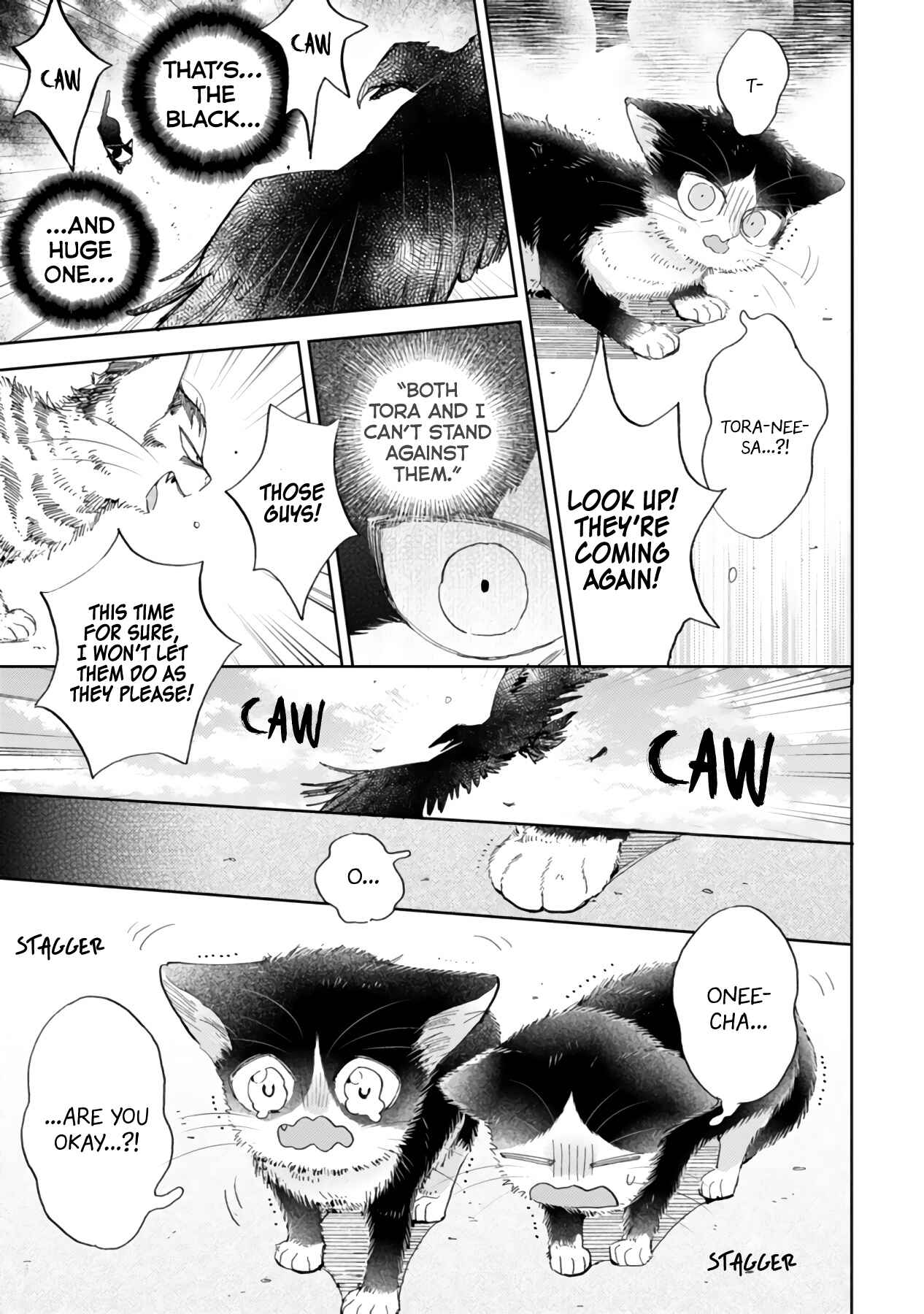Page 21 Chapter 16.2 My Roommate Is a Cat