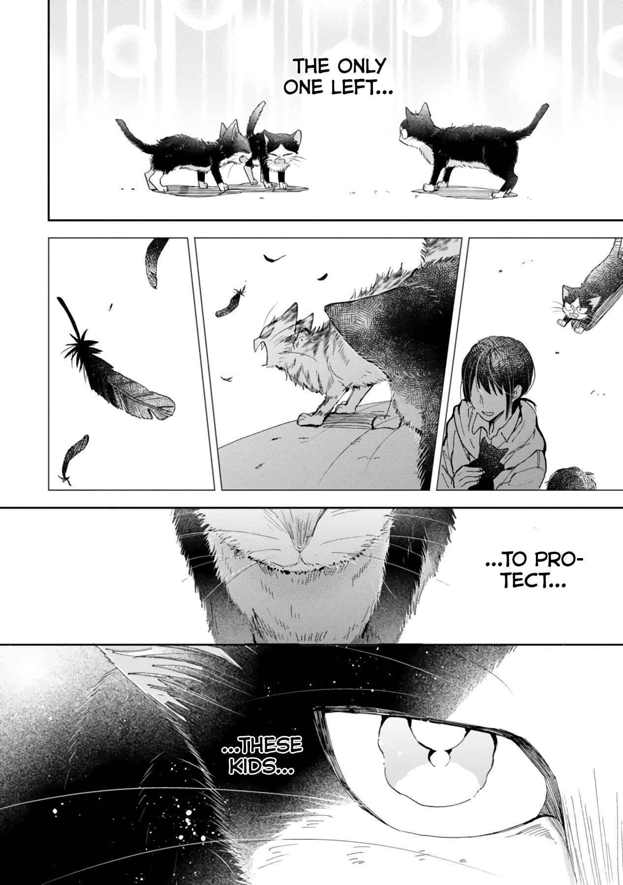Page 26 Chapter 16.2 My Roommate Is a Cat