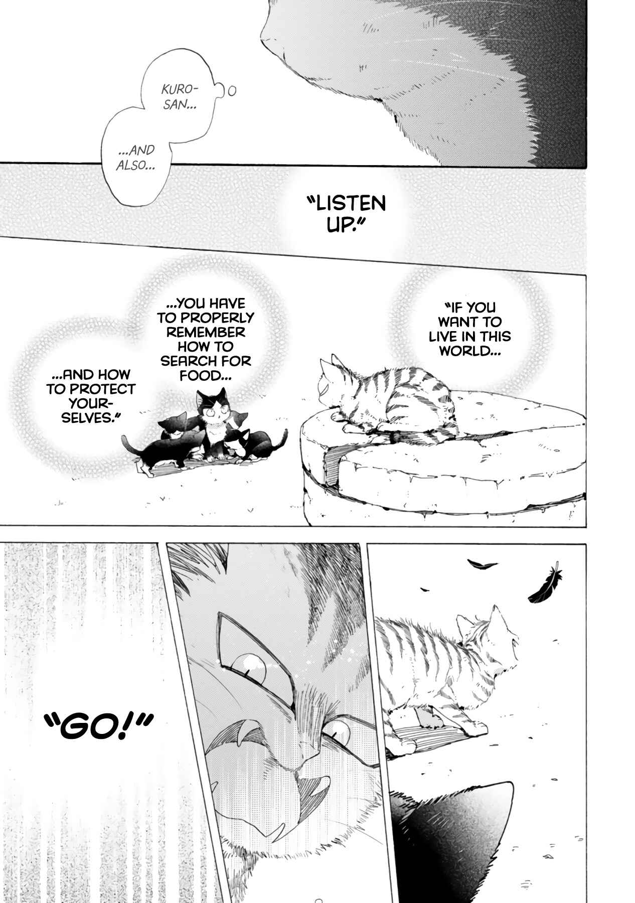 Page 15 Chapter 16.3 My Roommate Is a Cat