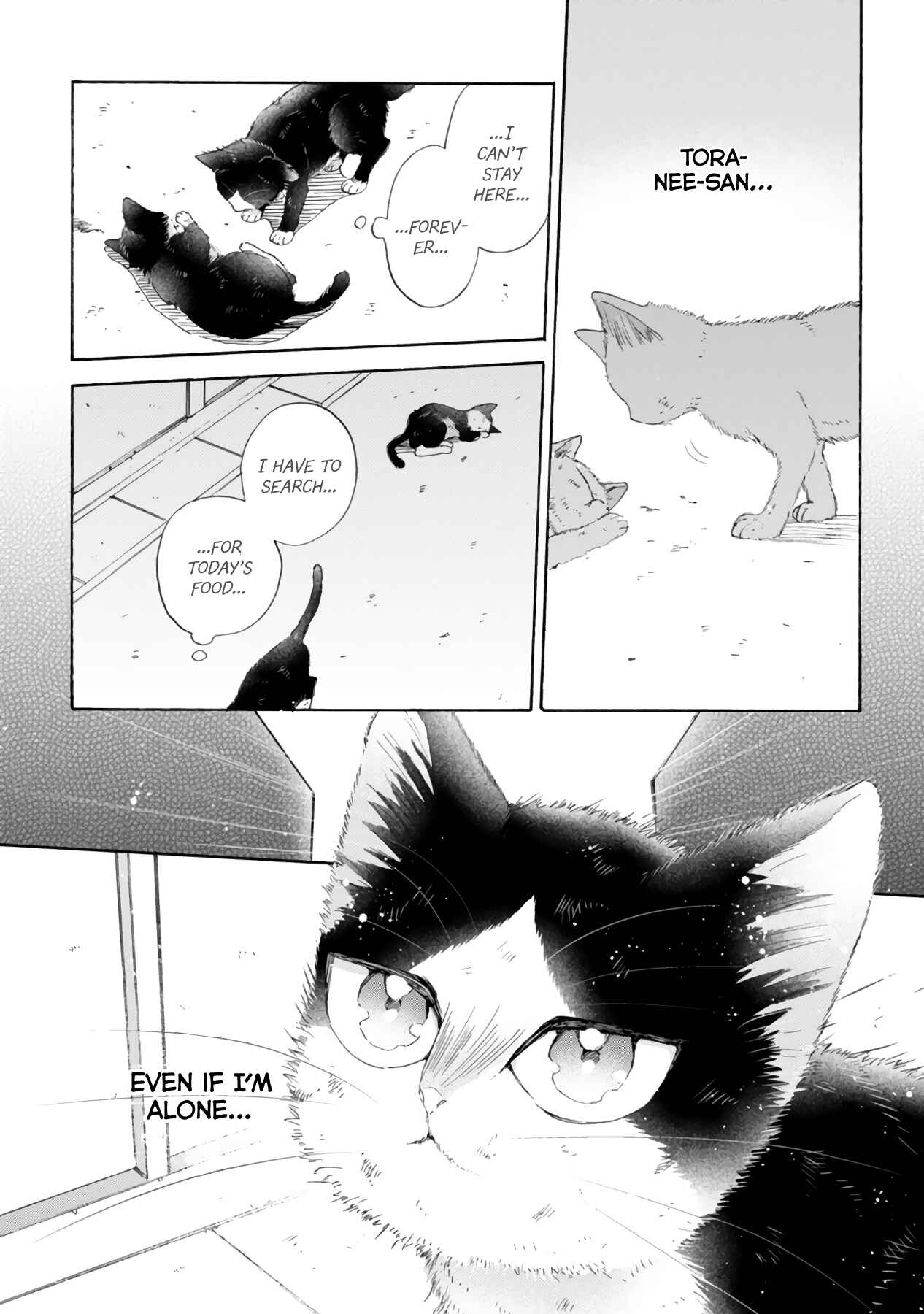 Page 16 Chapter 16.3 My Roommate Is a Cat
