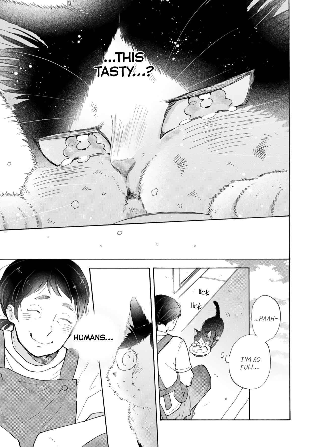 Page 19 Chapter 16.3 My Roommate Is a Cat