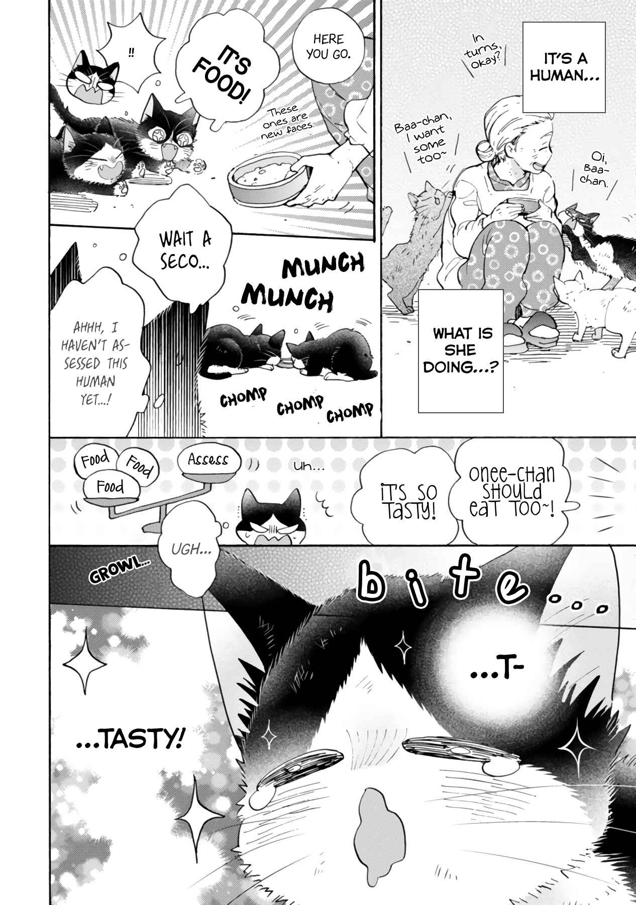 Page 6 Chapter 16.3 My Roommate Is a Cat