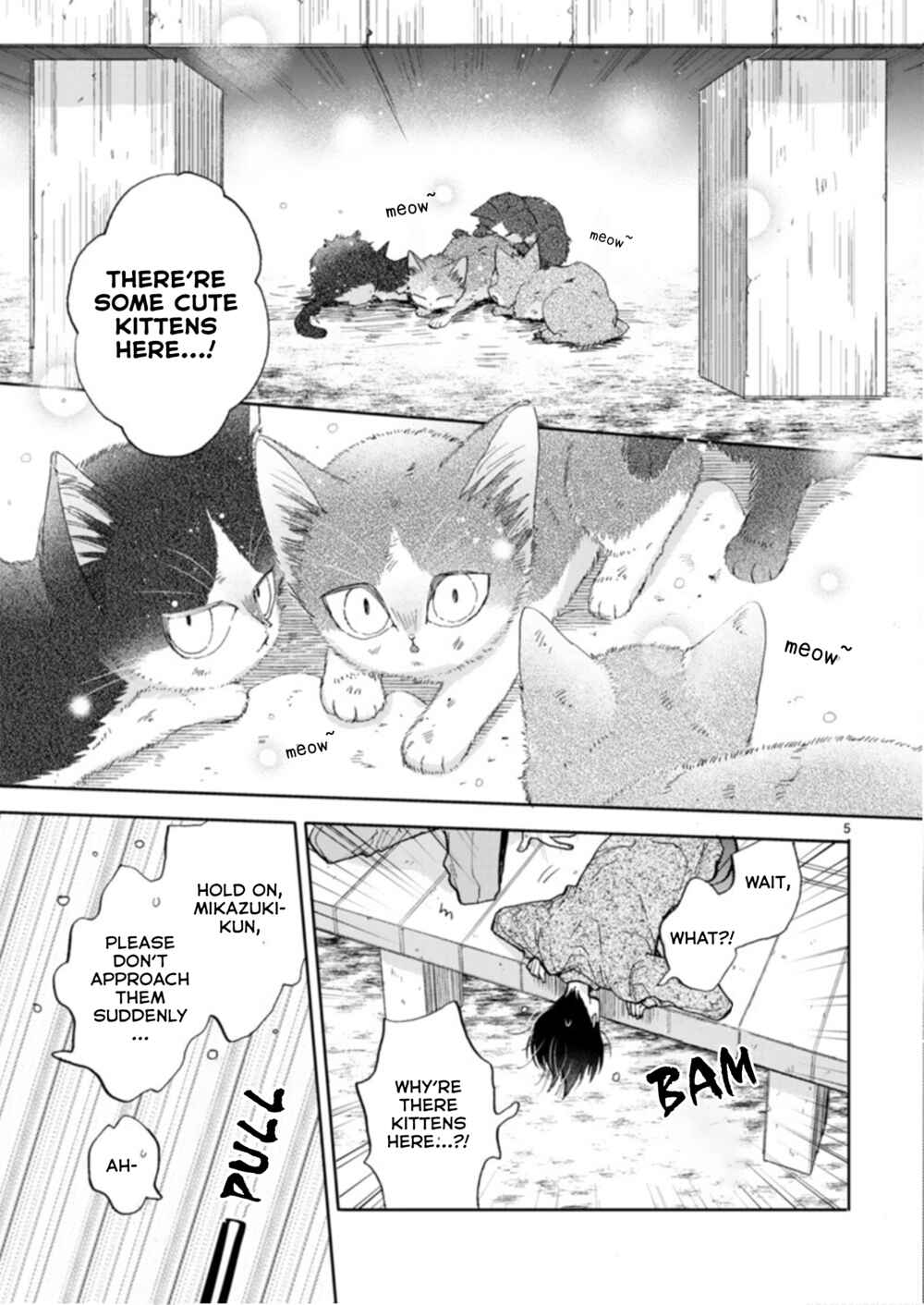 Page 5 Chapter 19.1 My Roommate Is a Cat