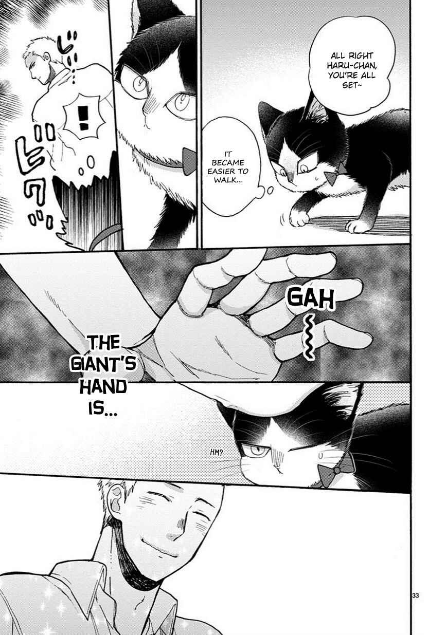 Page 10 Chapter 10.5 My Roommate Is a Cat