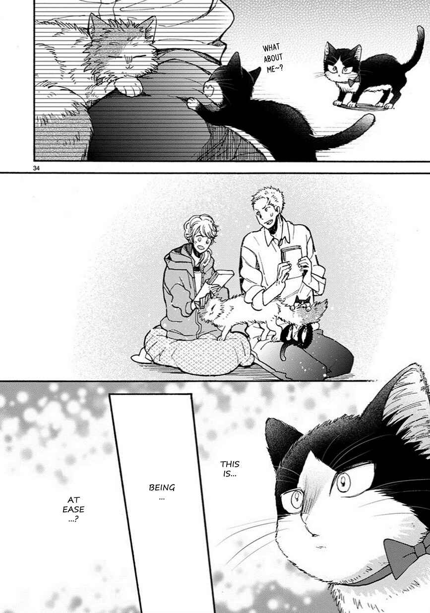 Page 11 Chapter 10.5 My Roommate Is a Cat