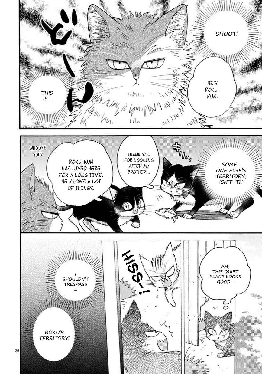 Page 3 Chapter 10.5 My Roommate Is a Cat