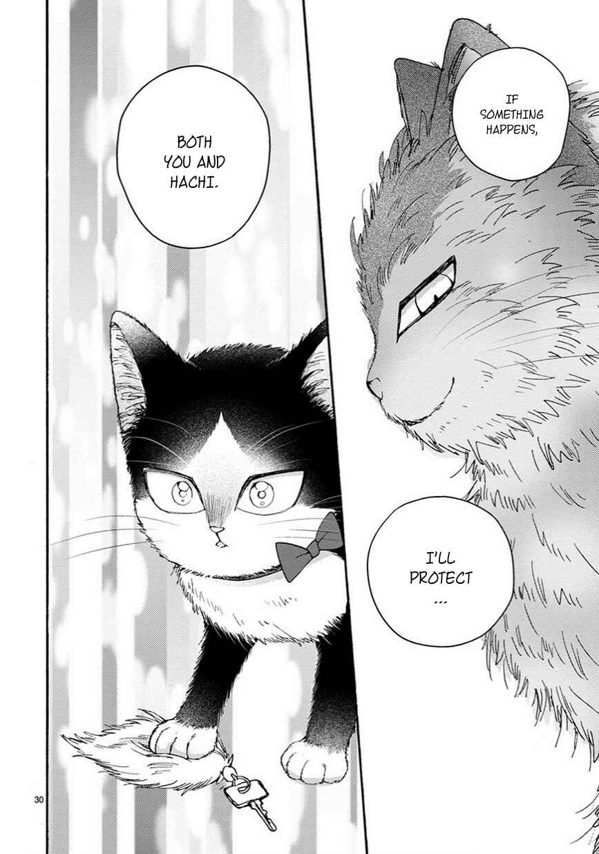 Page 7 Chapter 10.5 My Roommate Is a Cat