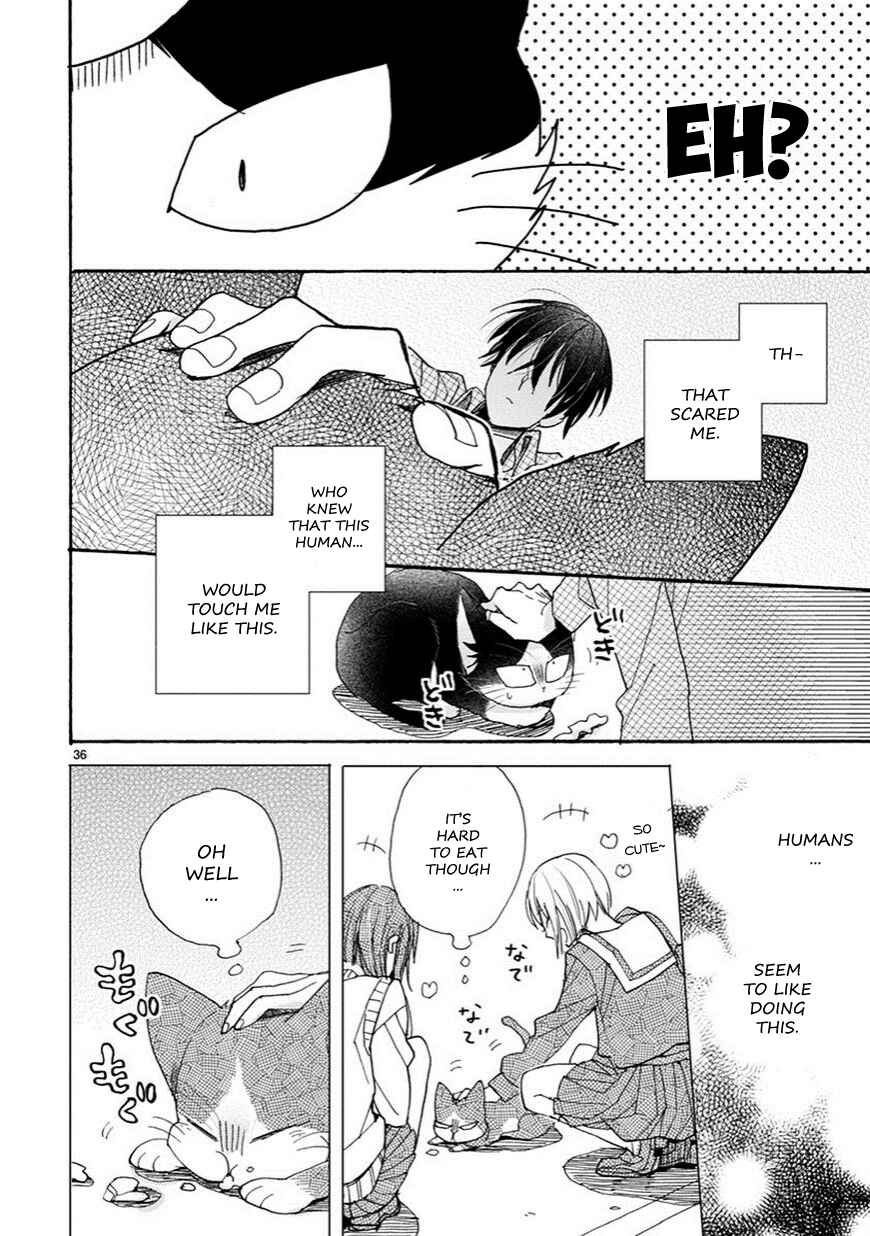 Page 11 Chapter 3.5 My Roommate Is a Cat