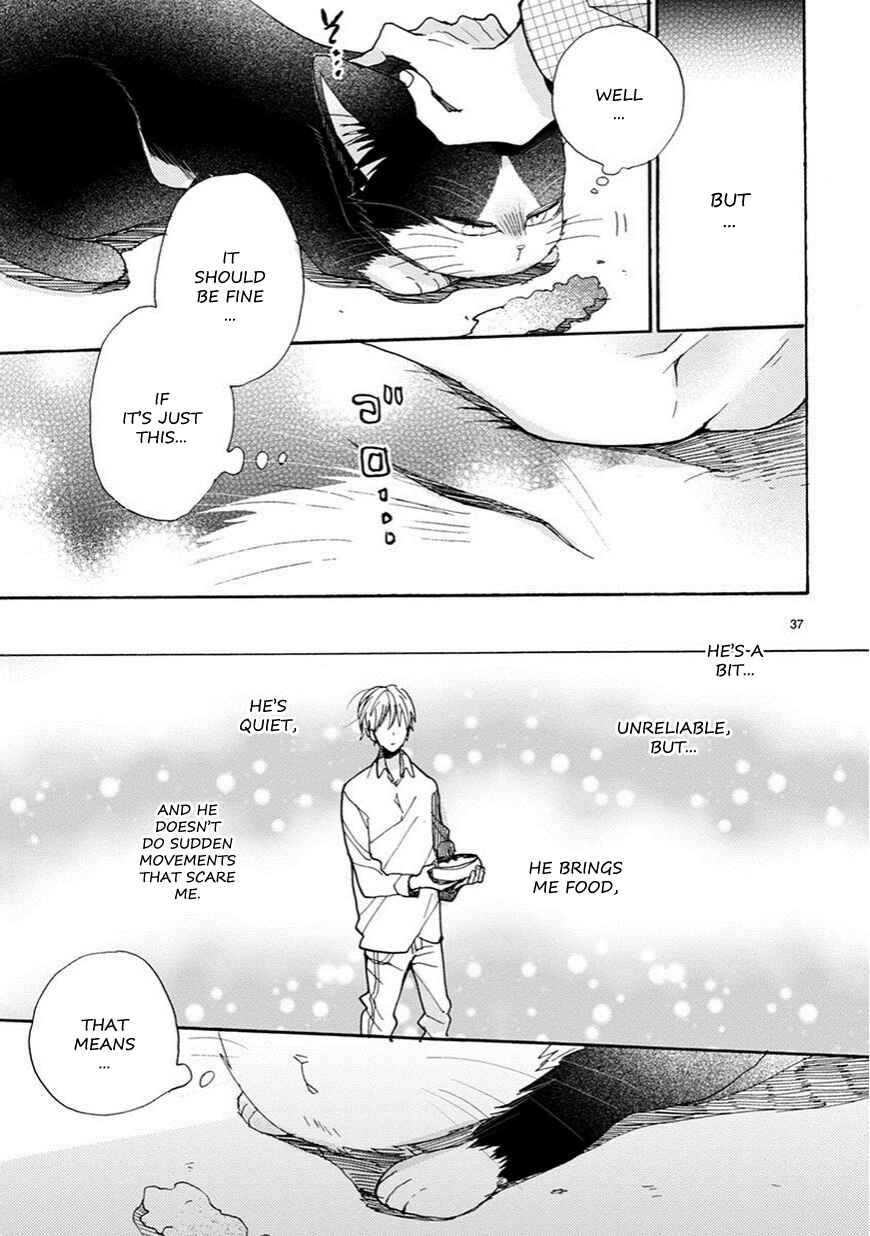 Page 12 Chapter 3.5 My Roommate Is a Cat