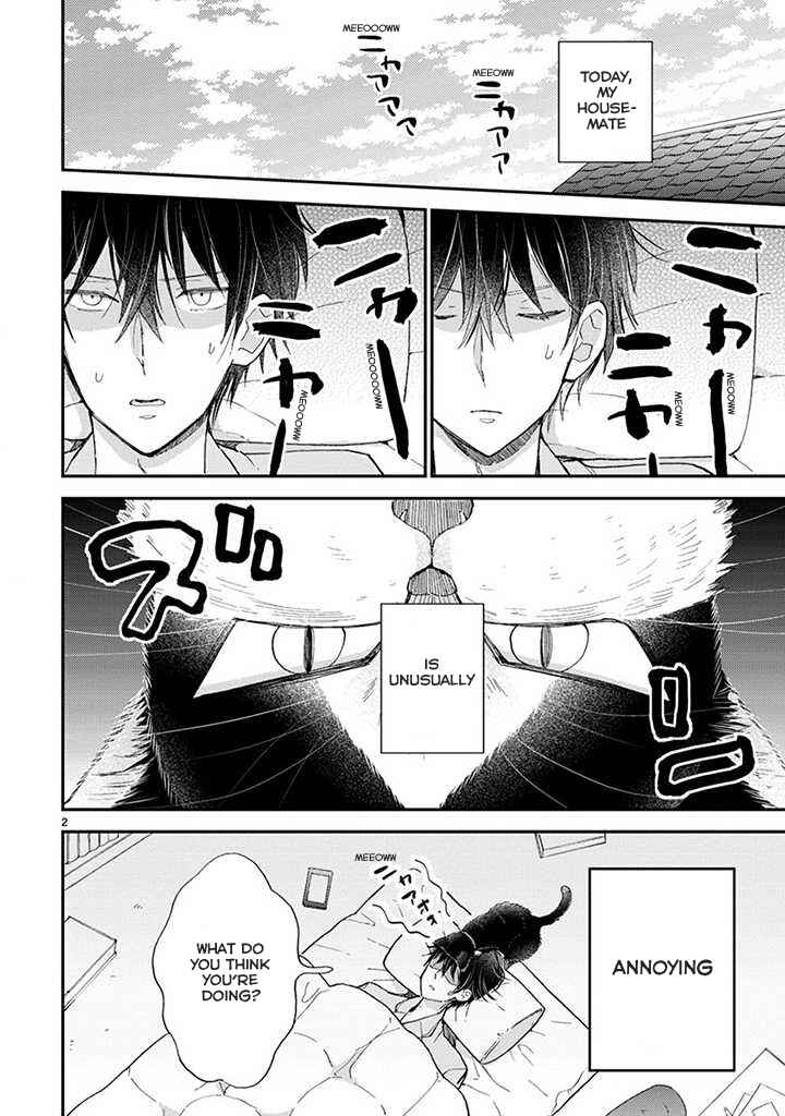 Page 3 Chapter 14 My Roommate Is a Cat