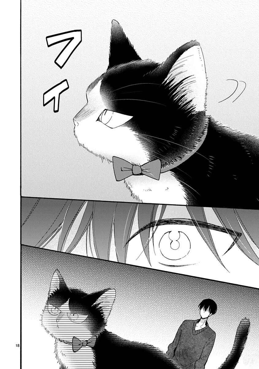 Page 19 Chapter 15.1 My Roommate Is a Cat