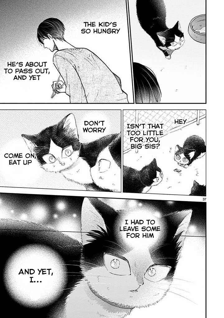 Page 10 Chapter 14.2 My Roommate Is a Cat
