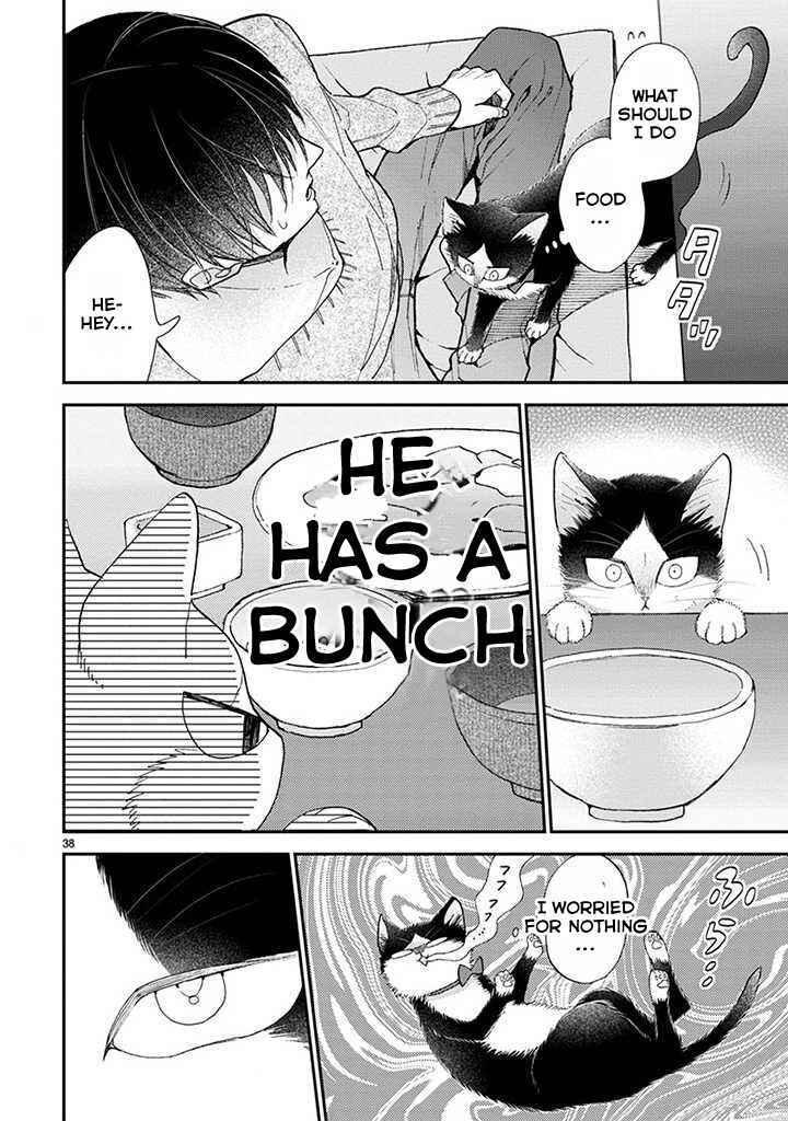 Page 11 Chapter 14.2 My Roommate Is a Cat
