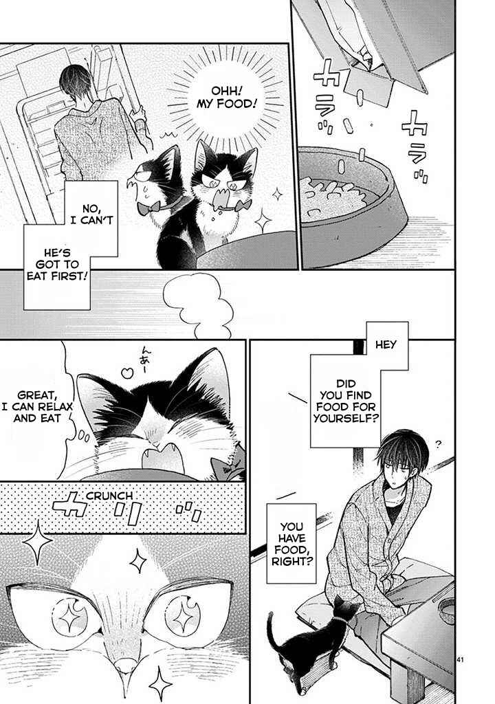 Page 14 Chapter 14.2 My Roommate Is a Cat