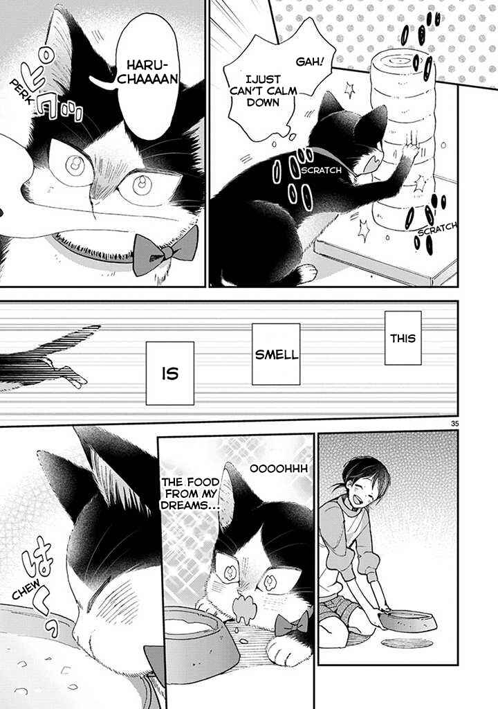 Page 8 Chapter 14.2 My Roommate Is a Cat