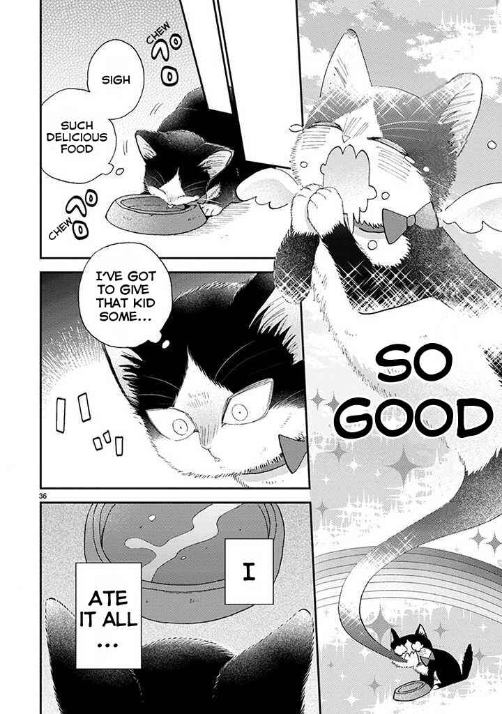 Page 9 Chapter 14.2 My Roommate Is a Cat