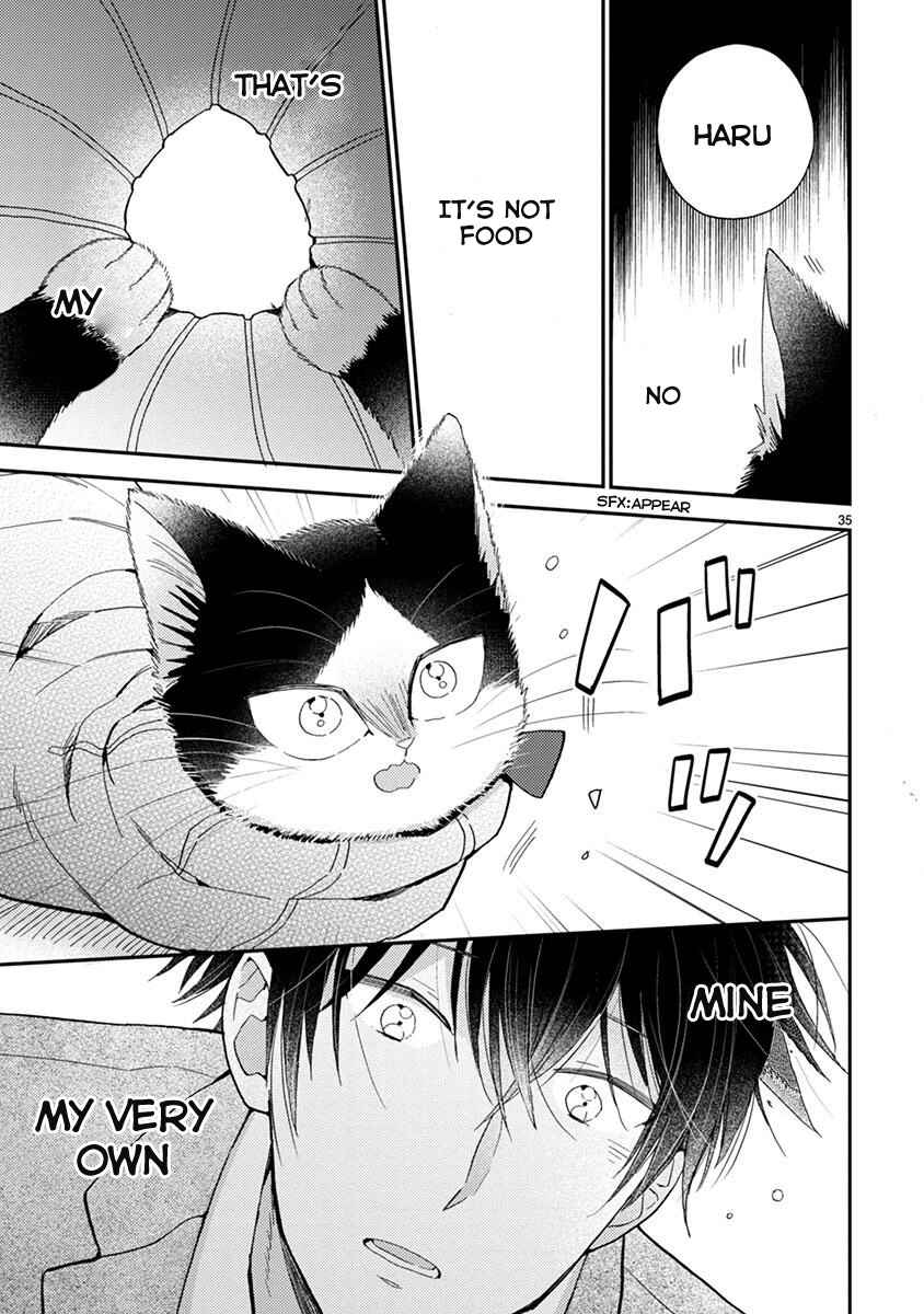 Page 10 Chapter 13.5 My Roommate Is a Cat