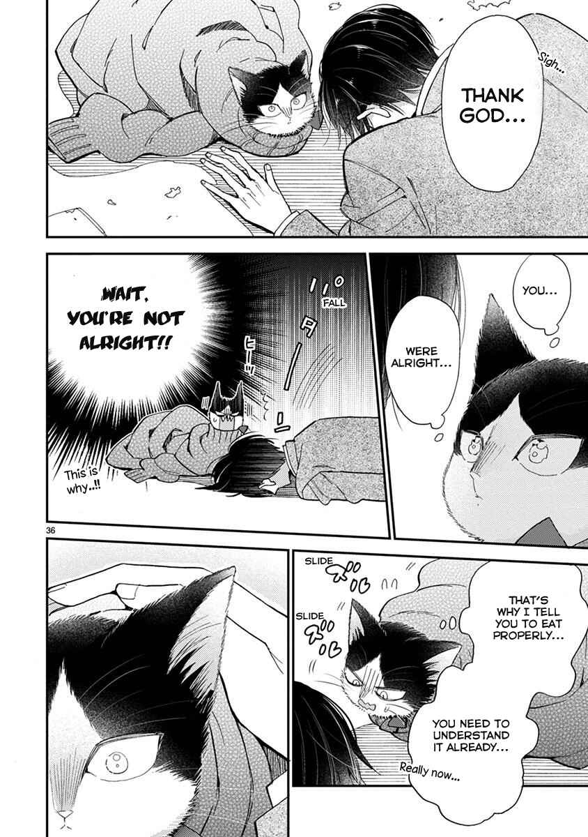 Page 11 Chapter 13.5 My Roommate Is a Cat
