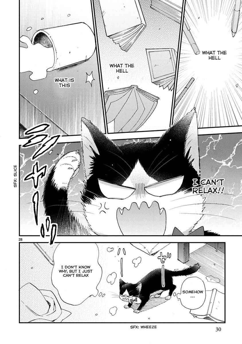 Page 3 Chapter 13.5 My Roommate Is a Cat