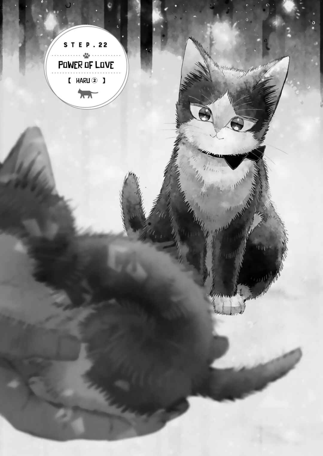Page 1 Chapter 22.4 My Roommate Is a Cat