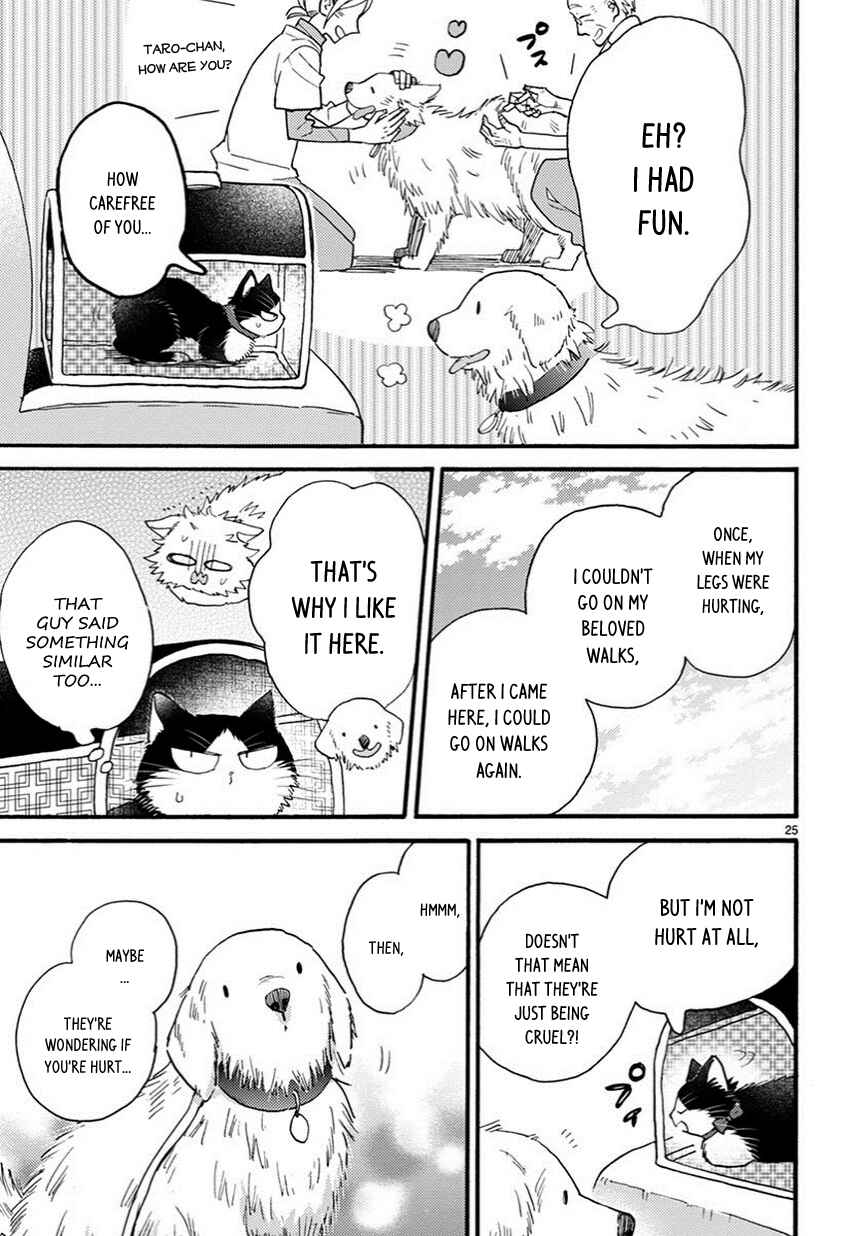 Page 10 Chapter 7.5 My Roommate Is a Cat