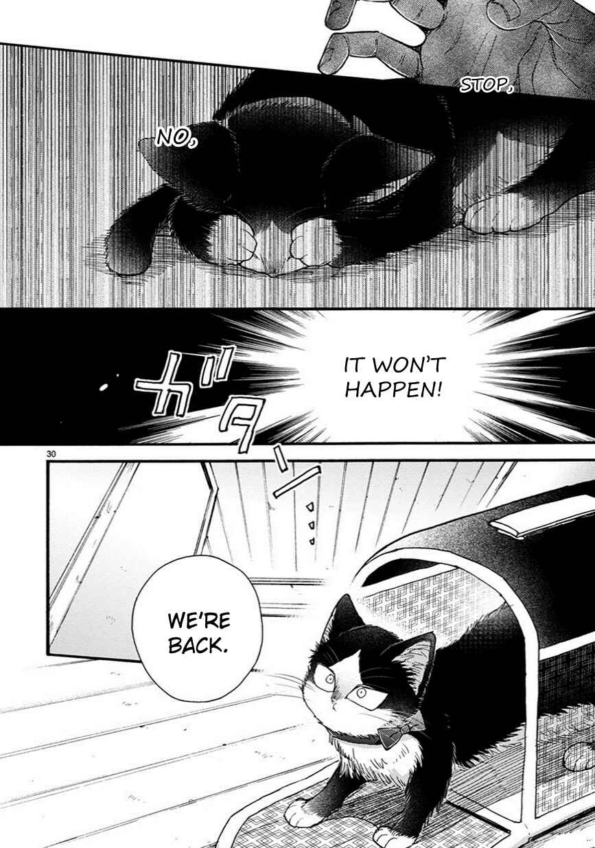 Page 15 Chapter 7.5 My Roommate Is a Cat