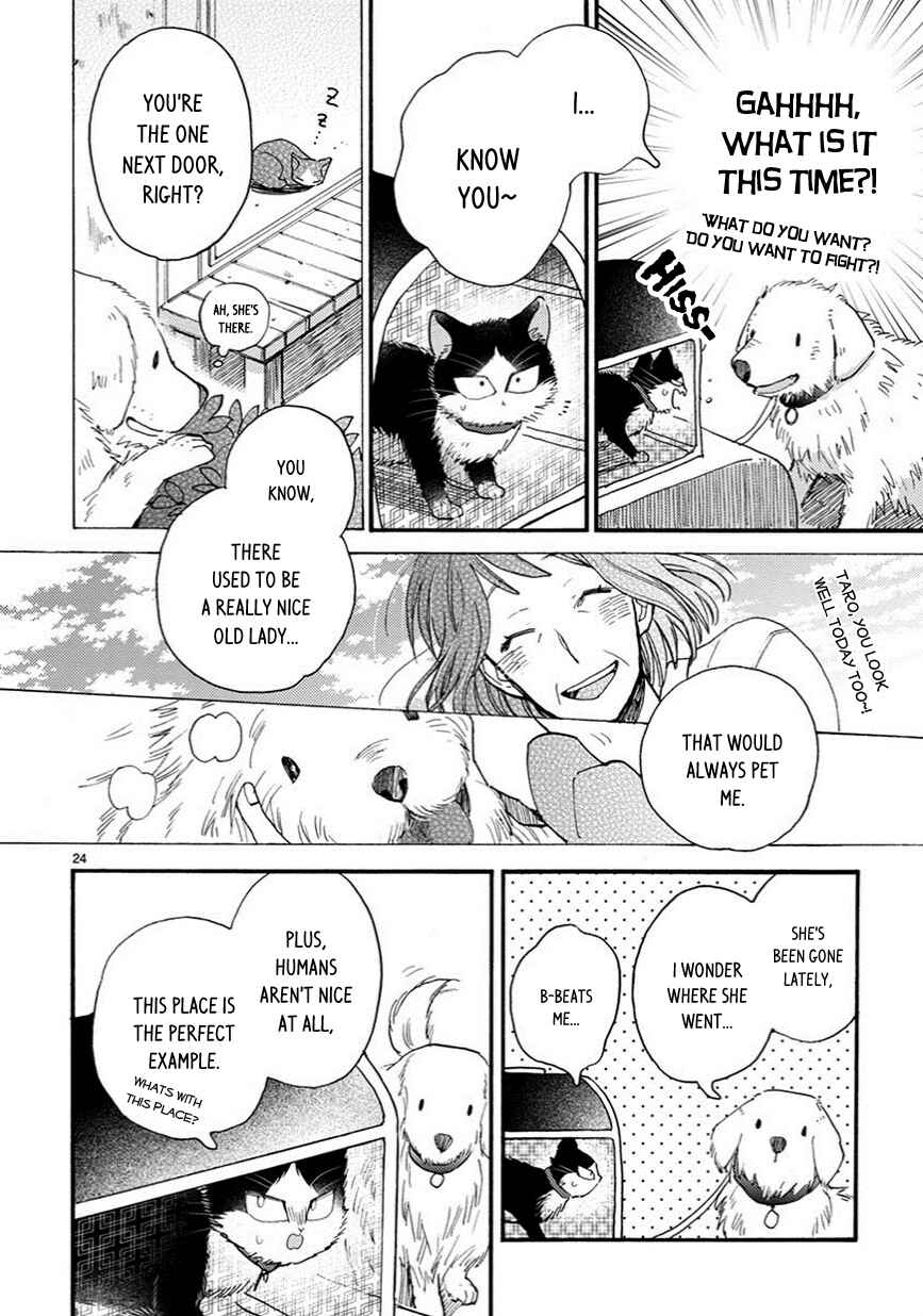 Page 9 Chapter 7.5 My Roommate Is a Cat