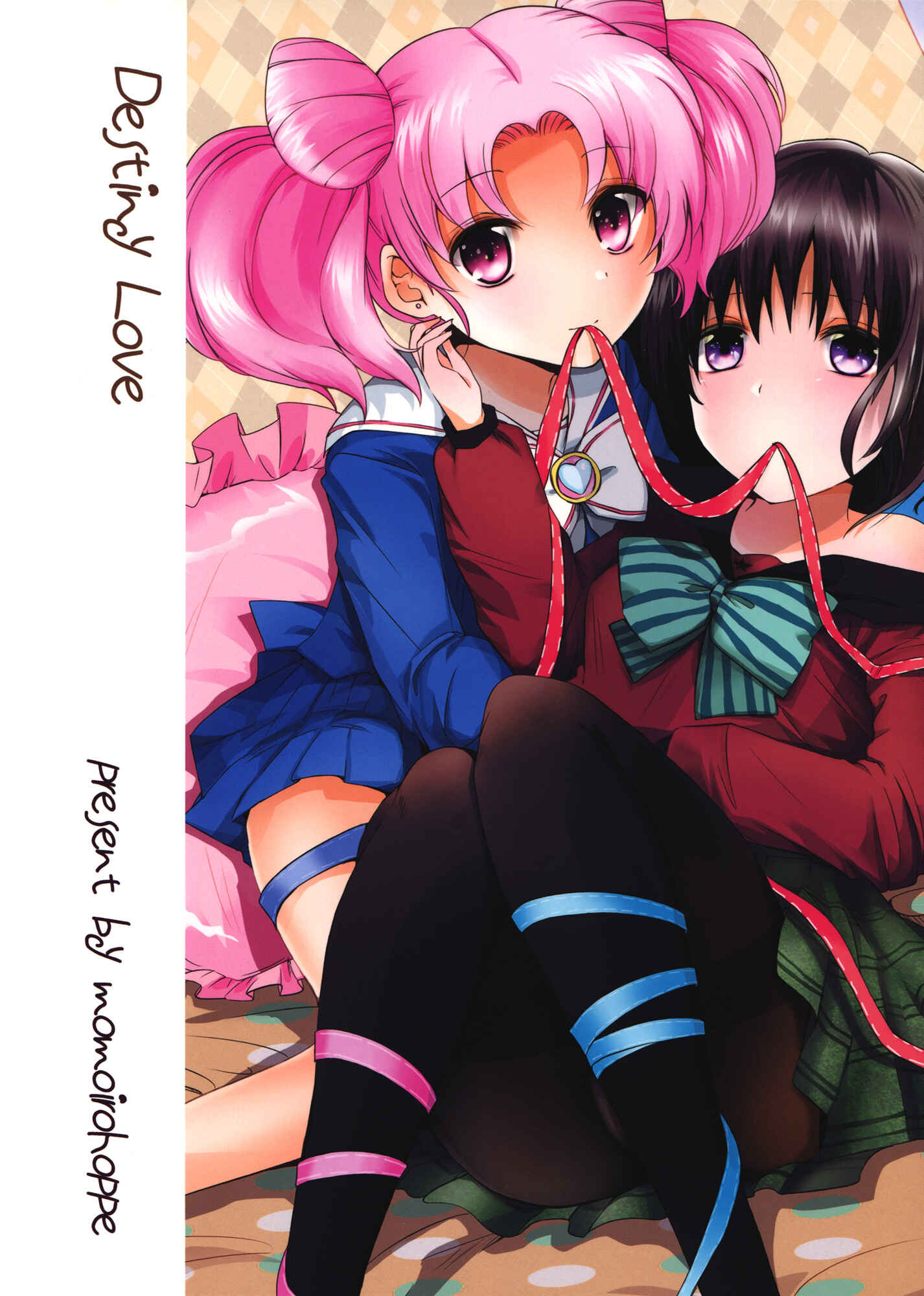 Page 2 Chapter Unknown_e135 Bishoujo Senshi Sailor Moon - Destiny Love (Doujinshi)
