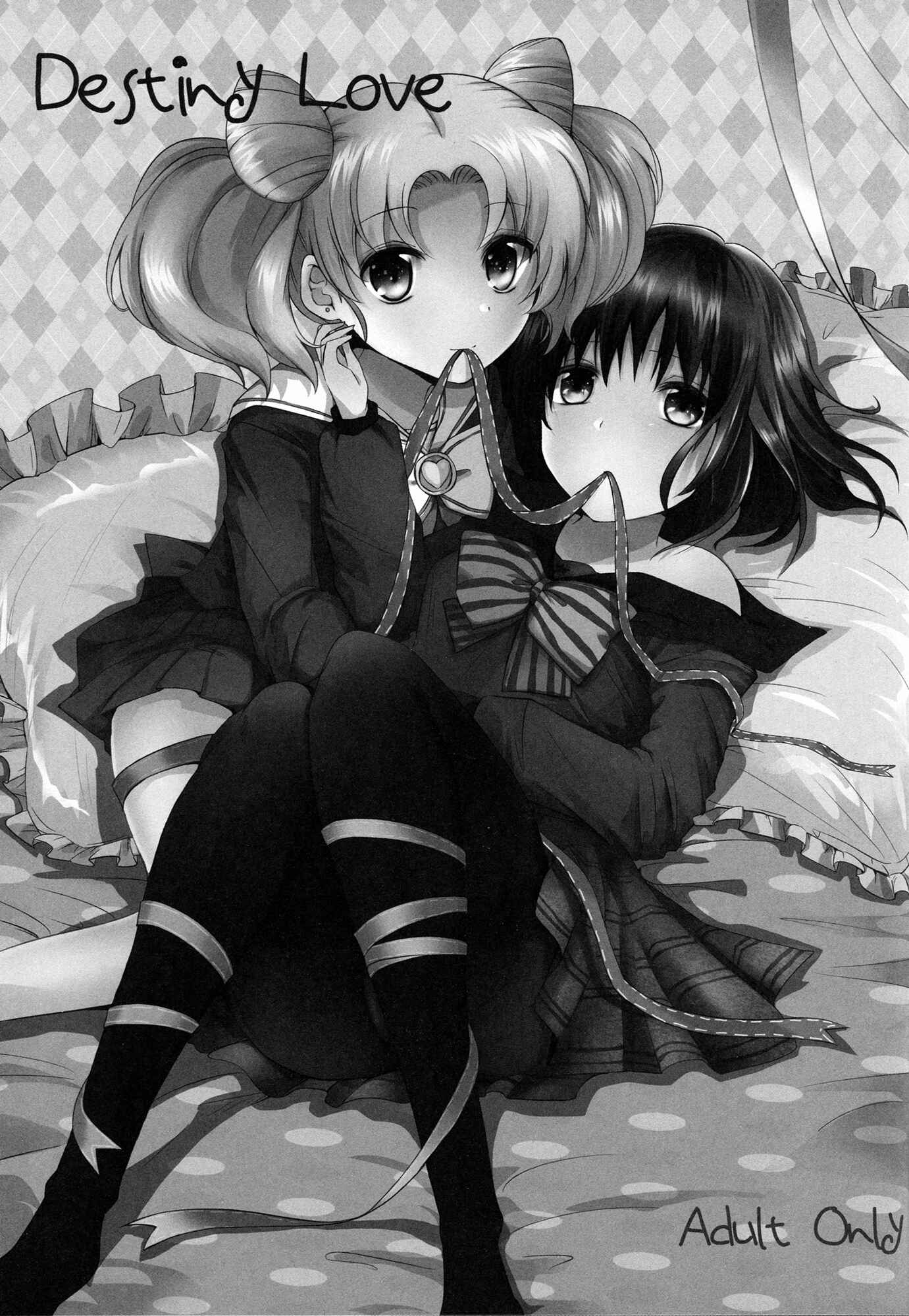 Page 4 Chapter Unknown_e135 Bishoujo Senshi Sailor Moon - Destiny Love (Doujinshi)