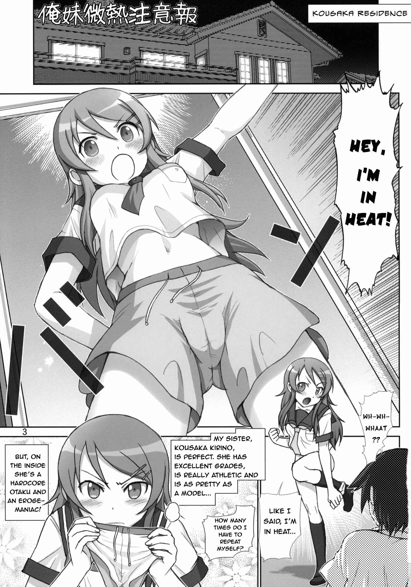 Page 2 Chapter 1 Ore no Imouto ga Konna ni Kawaii Wake ga Nai - Oreimo Binetsu Tyuihou (Doujinshi)