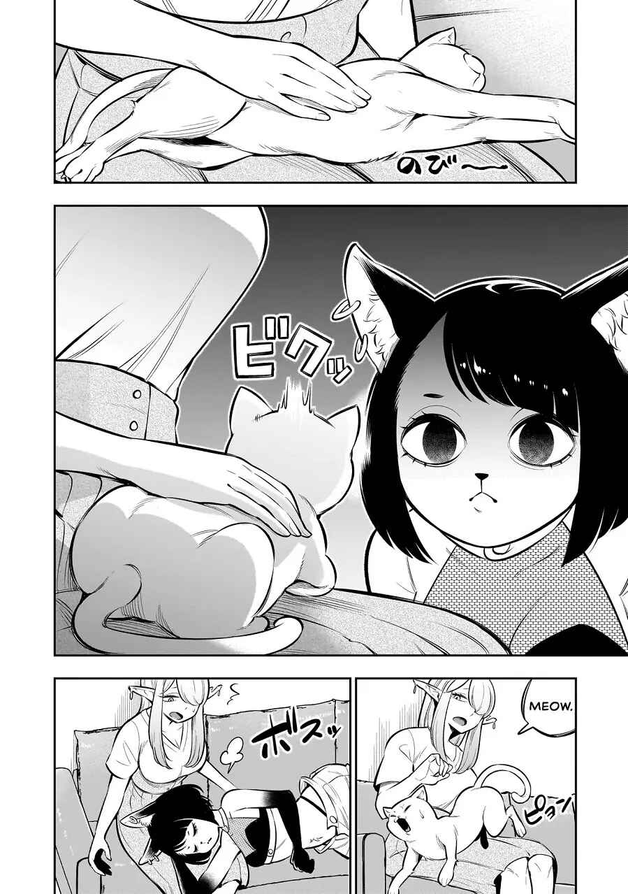 Page 12 Chapter 8 Ishuzoku Tsuihou Concafe