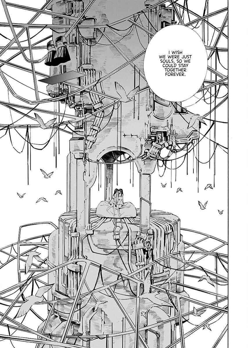 Page 26 Chapter 21 Lily System