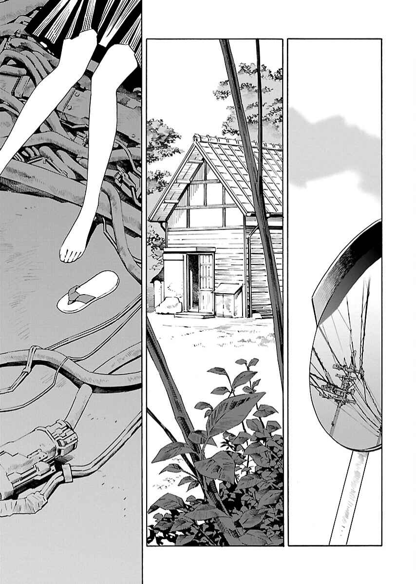 Page 1 Chapter 20 Lily System