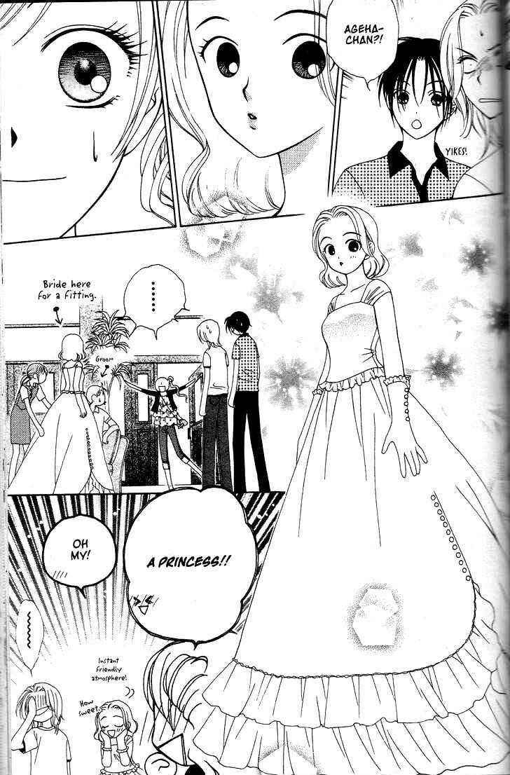 Page 13 Chapter 9 V.B. Rose
