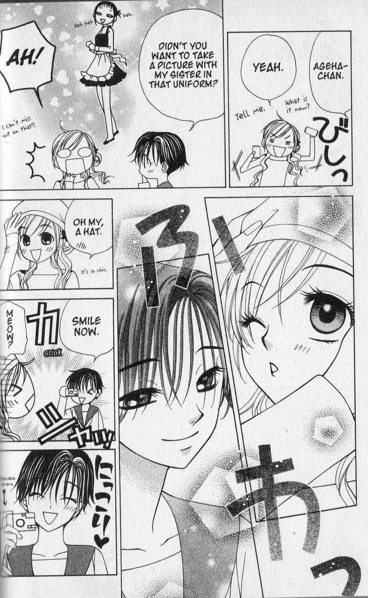 Page 18 Chapter 31 V.B. Rose