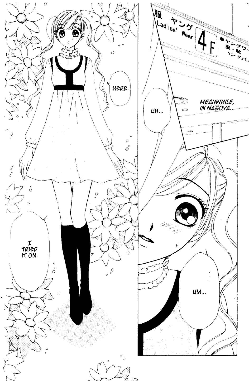 Page 4 Chapter 55 V.B. Rose